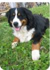 unser "Berry"